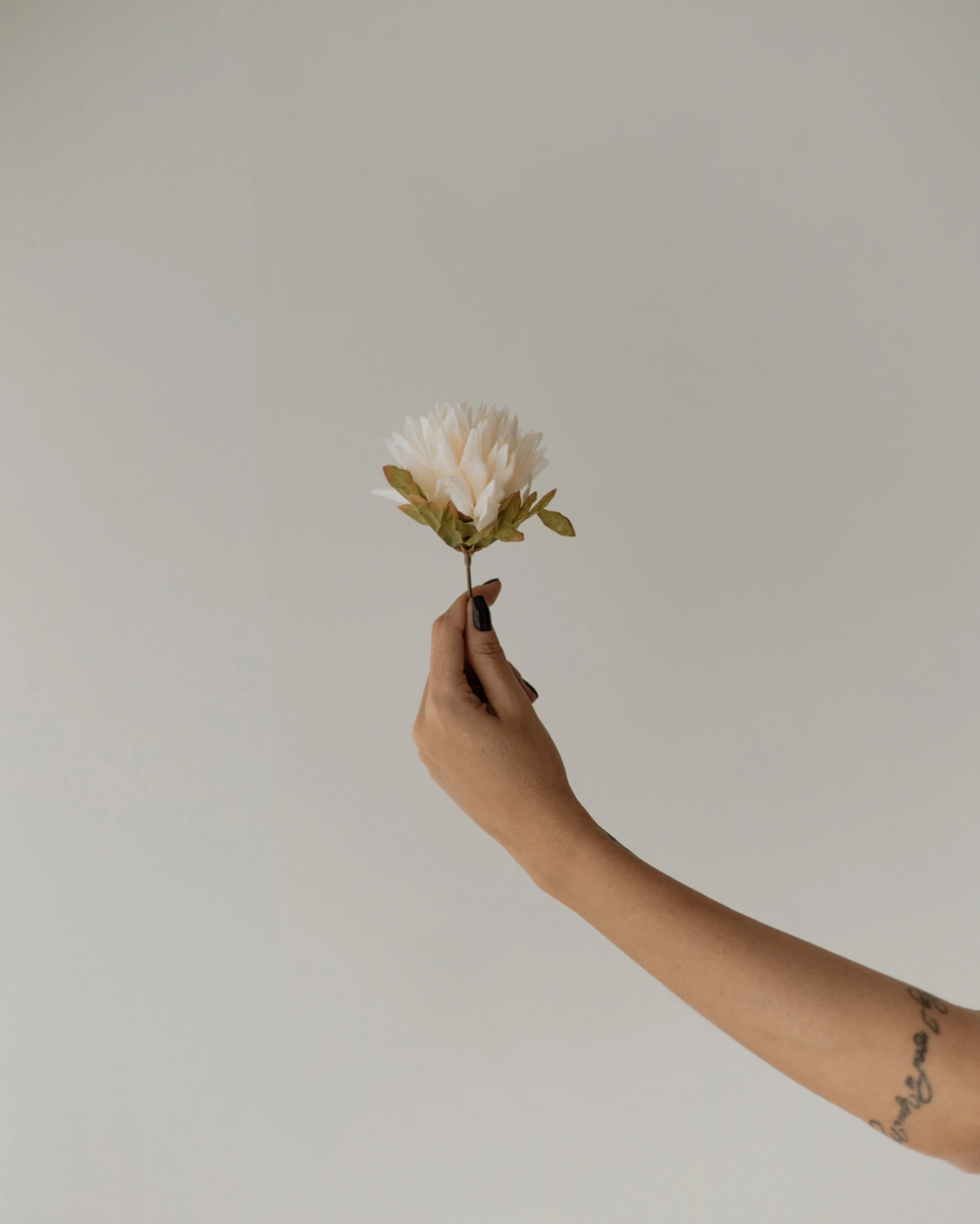 Imersão Gênesis — Florescer